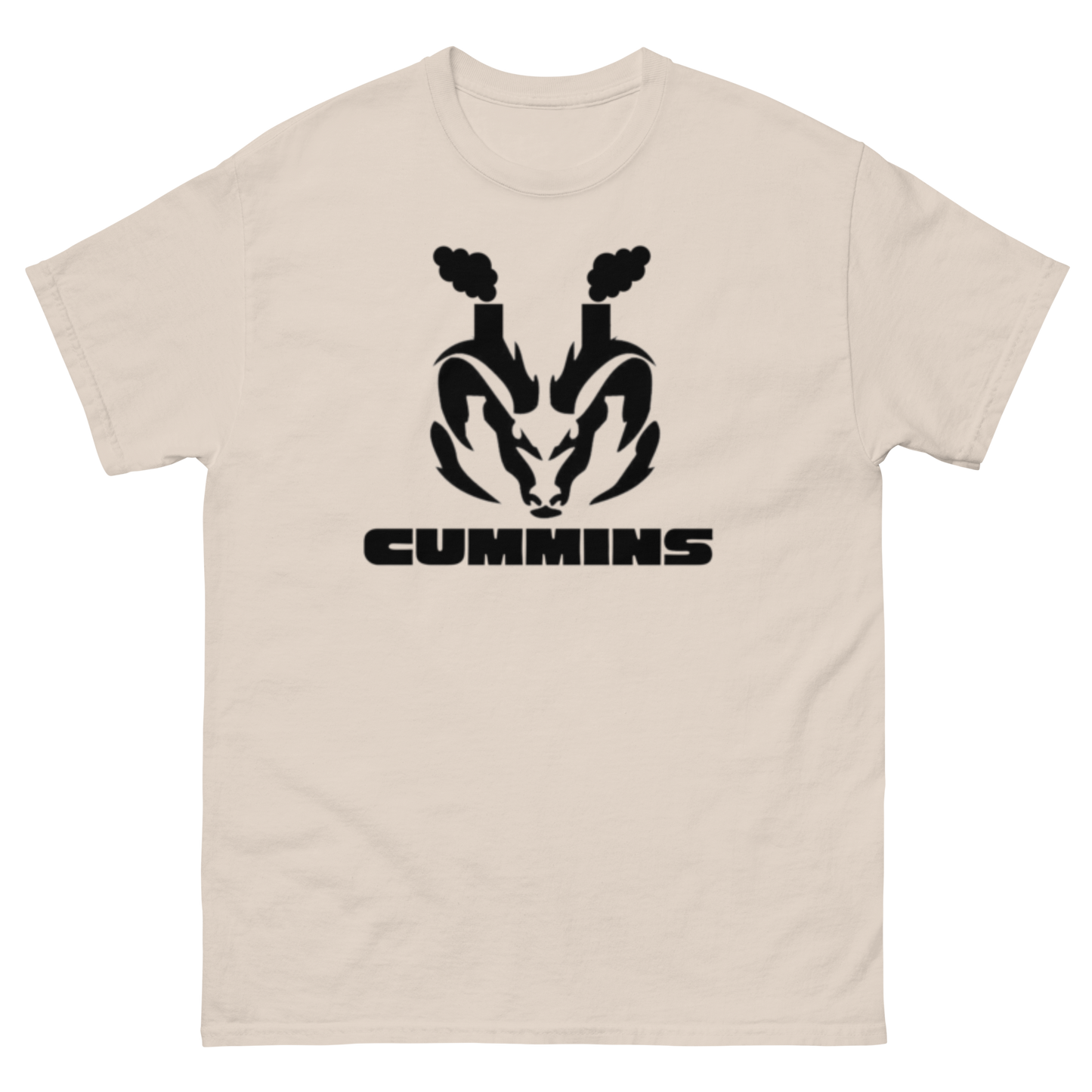 Unisex classic tee